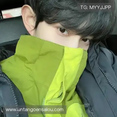 云维燕